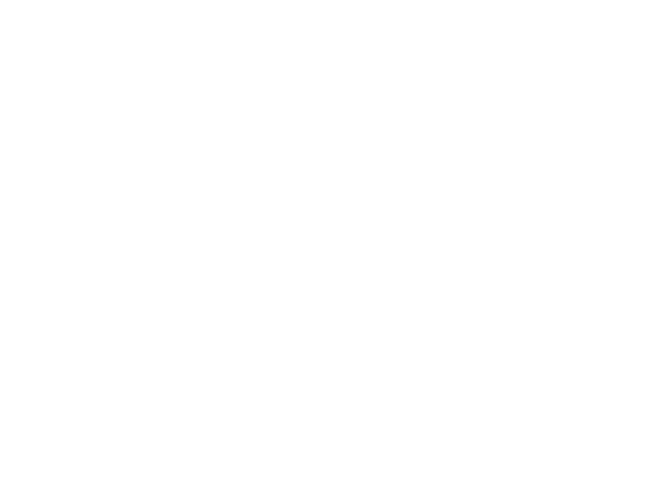 quality expert